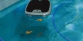 Basenowy odkurzacz Skimmi 300 Dolphin Maytronics