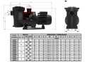 Pompa do basenu Victoria Plus Silent 34 m3/h 230V